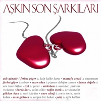 Aşkın Son Şarkıları - Various Artists