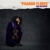 Ara Malikian: Pisando Flores - Ara Malikian