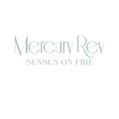 Senses On Fire - Single