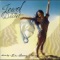 Drum Solo (Amir Sofi) - Dr Samy Farag lyrics