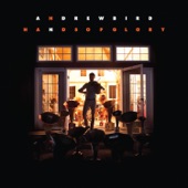 Andrew Bird - Railroad Bill