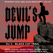 Devil's Jump (Remastered) artwork