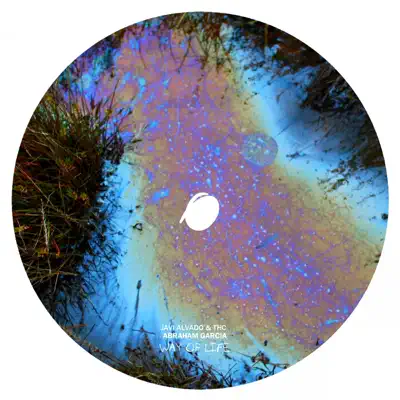 Way of Life - Single - THC
