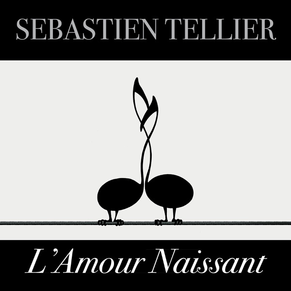 L'amour naissant - Single - Sébastien Tellier