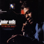 Junior Wells - (I Got a) Stomach Ache