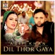 DIL THOR GAYA cover art