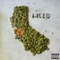 Cali Weed - DJ B Knockin lyrics