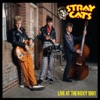 Stray Cats