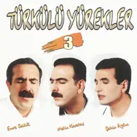 YANARIM — EMRE SALTIK