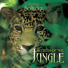 Secrets of the Jungle - Dan Gibson's Solitudes