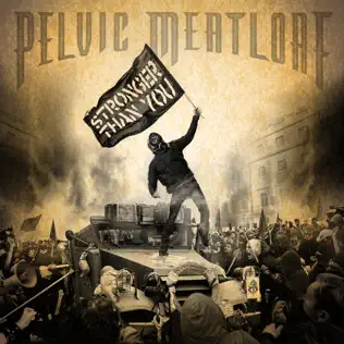 Album herunterladen Download Pelvic Meatloaf - Stronger Than You album
