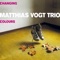 The Look Into Your Eyes (feat. Roger Cicero) - Matthias Vogt Trio lyrics