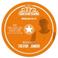 TDSR14 - Single - Webcam Hi-Fi