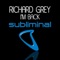 Richard Grey - I'm Back - One Night In Pacha Remix