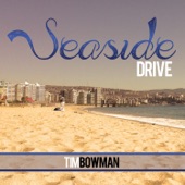 Seaside Drive artwork