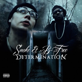 Determination Smoke & B-Free