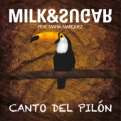 Canto del Pilón (feat. María Marquez) artwork