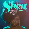 Where Did You Go (Atjazz Remix)