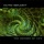 Cosmic Replicant - Sunnarium