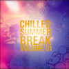 Chilled Summer Break, Vol. 1 - Various Artists