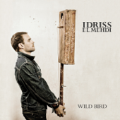 Wild Bird - Idriss El Mehdi
