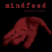 Perfect Life — Mindfeed