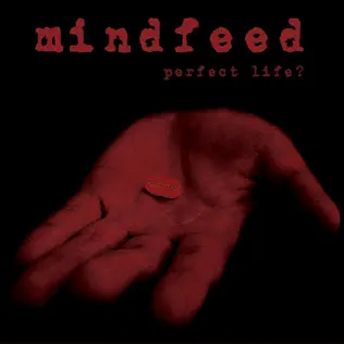 ladda ner album Mindfeed - Perfect Life