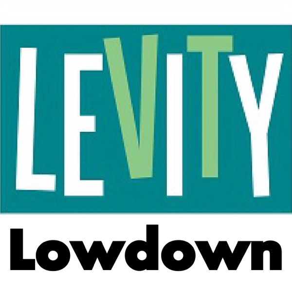 The Levity Lowdown cover