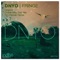 Fringe (Tim Penner Remix) - DNYO lyrics