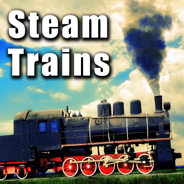 Steam Train Locomotive Riding Along with Wheel Clacks & Squeaks