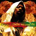 Coming Over (feat. Cherine Anderson)