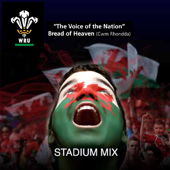 Bread Of Heaven (Stadium Mix)