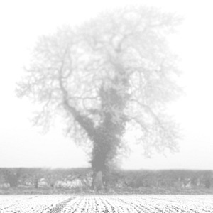 The poetry, philosophy and fiction of Luke Andreski cover