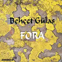 Kaya Olsam Sis Olsam (Bulutlar) — Behçet Gülas