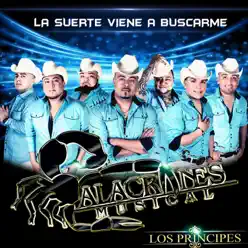 La Suerte Viene a Buscarme - Single - Alacranes Musical