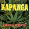 En el Camino - Kapanga lyrics