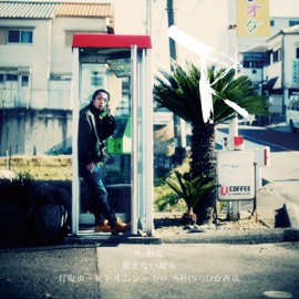 Hitorimushi (feat. SHINGO☆西成) R Shitei