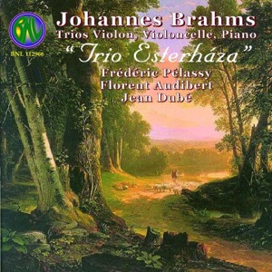 Brahms: Intégrale des trios