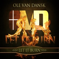 Let It Burn (Chris Delay Remix Edit)