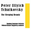 Stream & download Pyotr Ilyich Tchaikovsky: The Sleeping Beauty