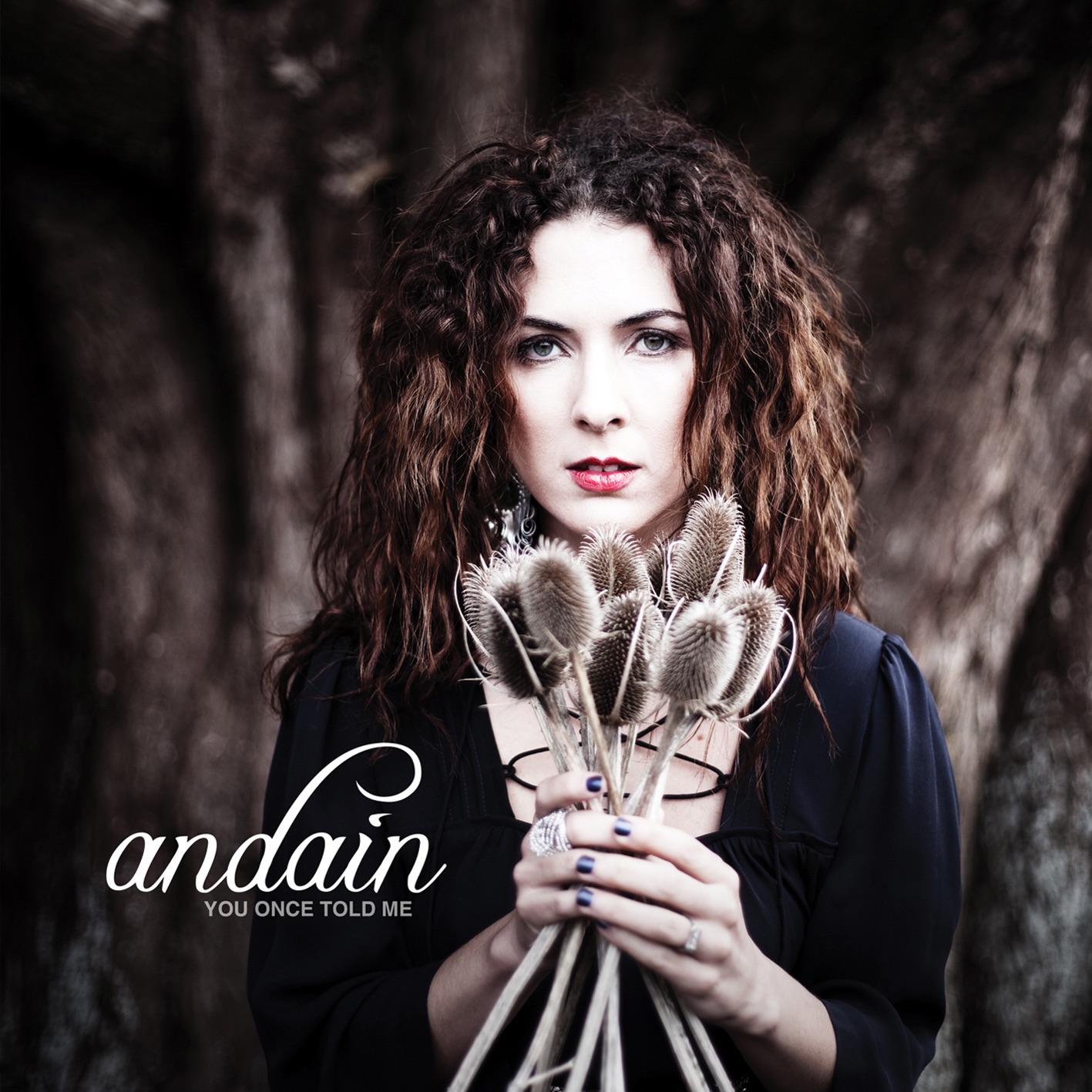 Andain – You Once Told Me (Deluxe Version) [iTunes Plus M4A + M4V + LP] Cover