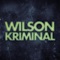 Yo Quiero Darte (feat. Frank García) - Wilson Kriminal lyrics