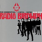 Radio Birdman - Hanging On