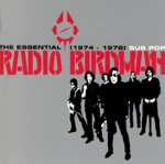 The Essential Radio Birdman (1974-1978)