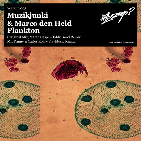 Plankton - Single