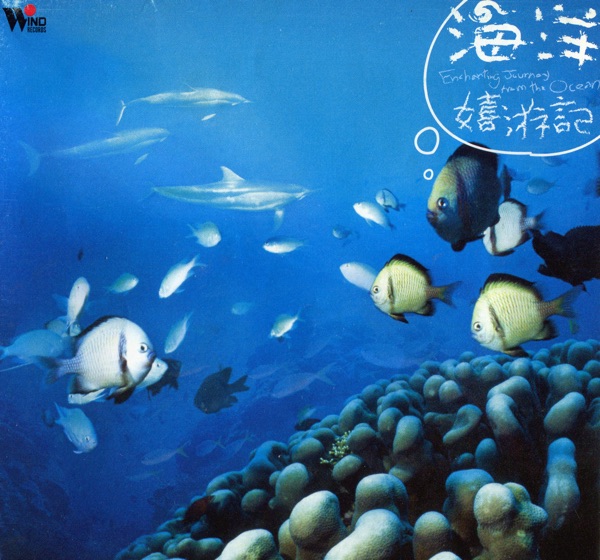 Don Tung - Flying Seagulls Across the Oceans