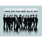 TOMORROW with SOL (from BIGBANG) - 2012 YG Family Concert in Japan ver. artwork