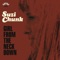 No Stone Unturned (Stereo Album Mix) - Suzi Chunk lyrics