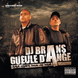 Boston connexion (feat. M-Dot, Desco & DJ Djaz) Dj Brans & Gueule d'Ange