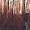 30 Pieces - Anekdoten lyrics